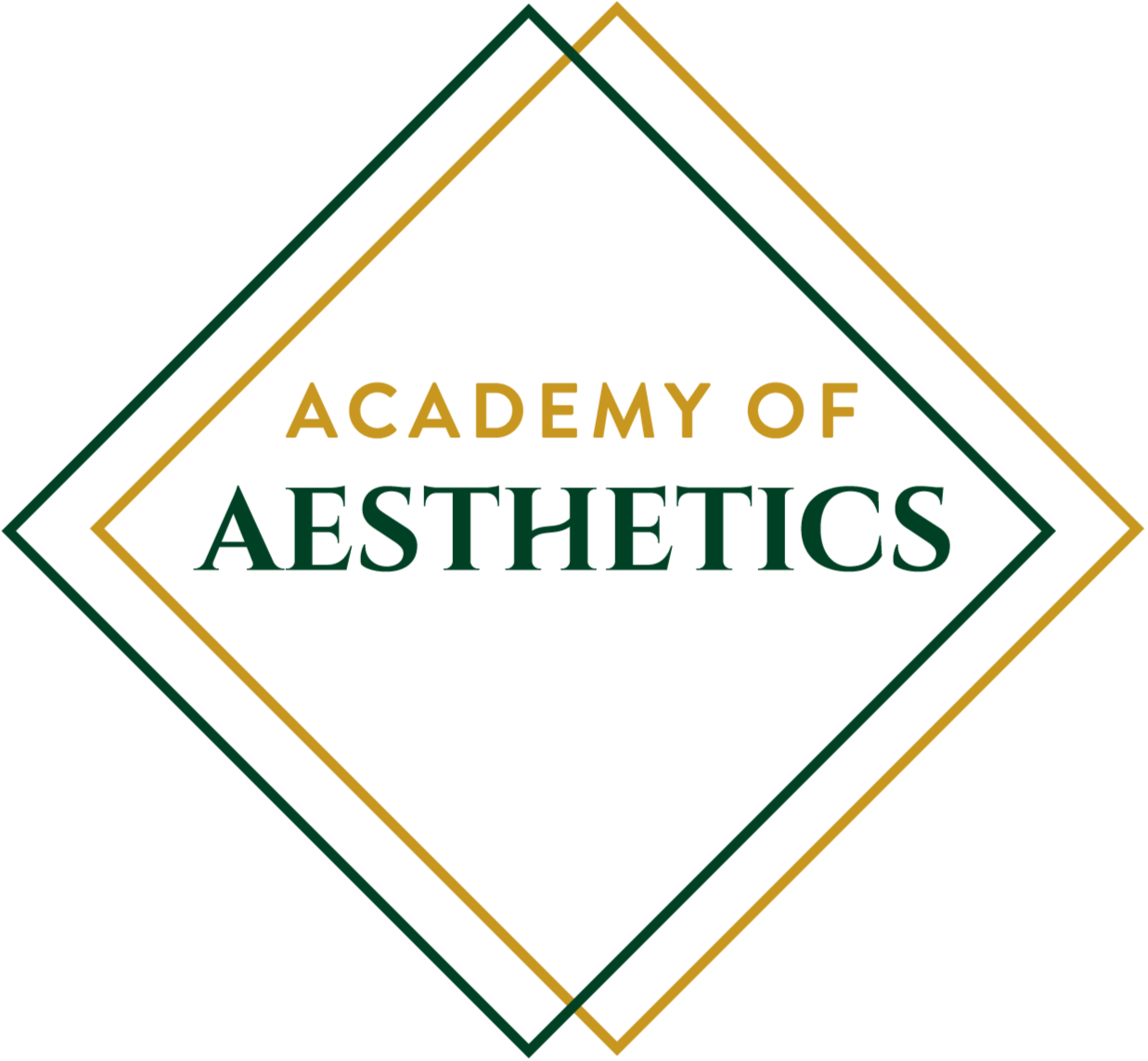 Academy Of Aesthetics
